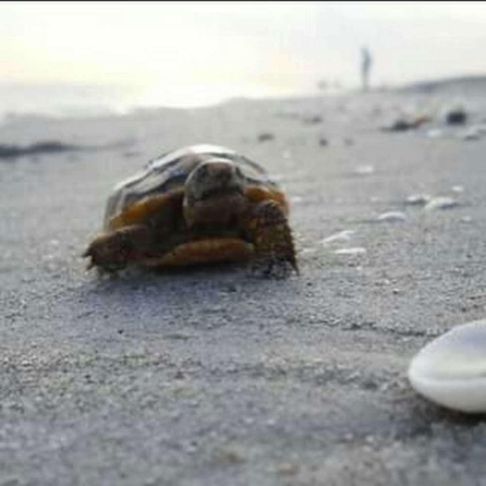 Meet your Posher, Gina